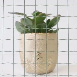 Verre armé Petite Maille
