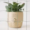 Verre armé Grande Maille